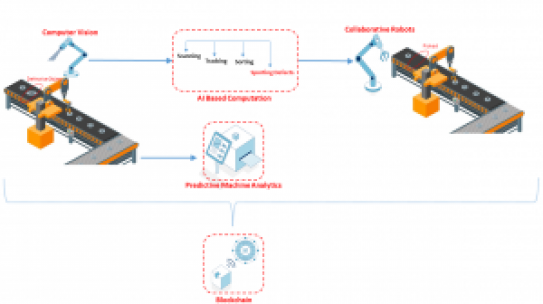 Image Processing and Computer Vision for Monitoring and Supply Chain Management