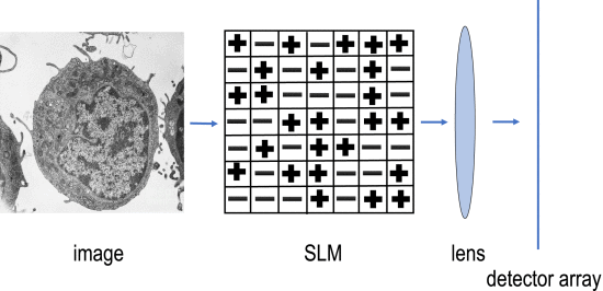 Blind Deconvolution Using Modulated Inputs